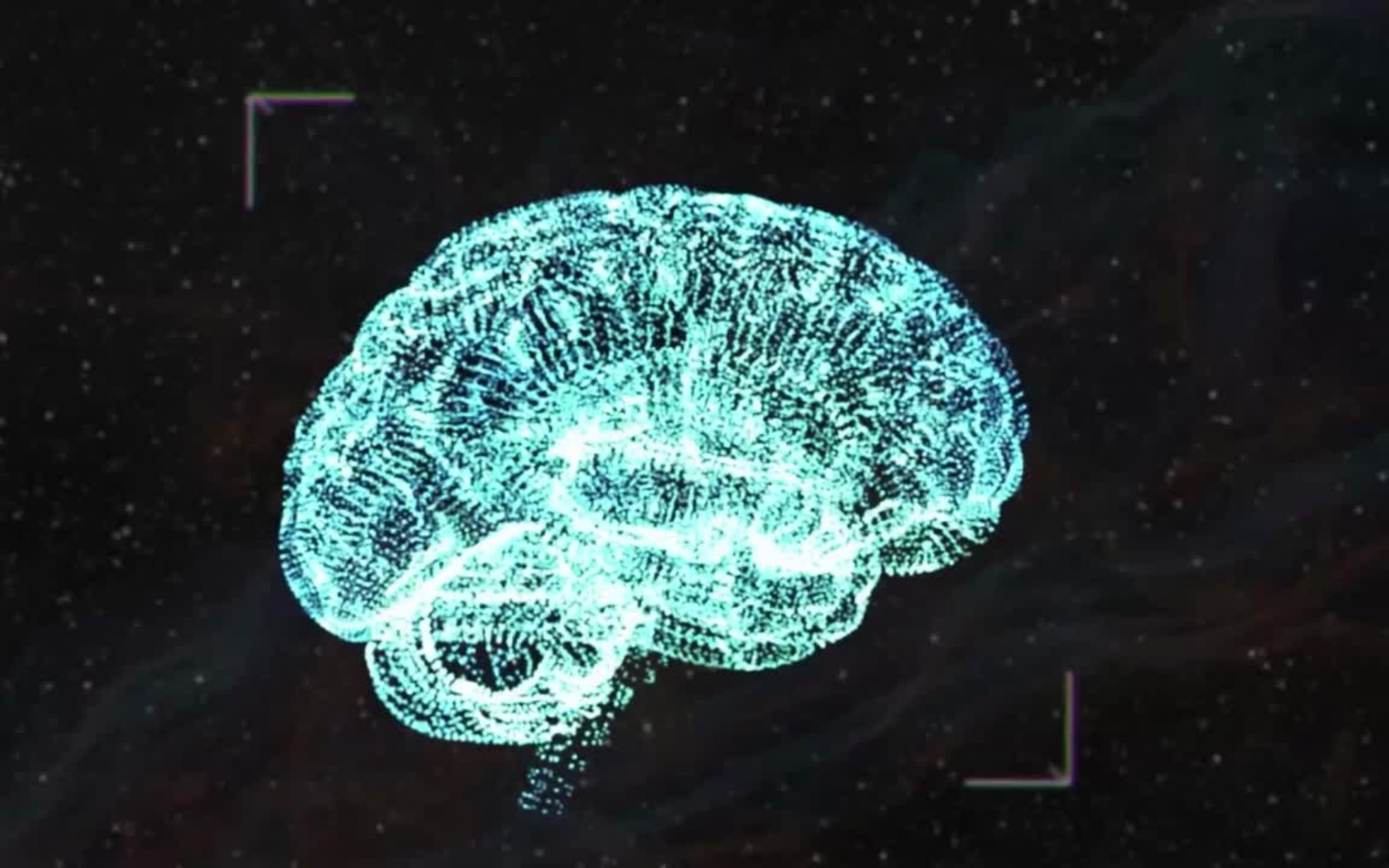 Brain Health header
