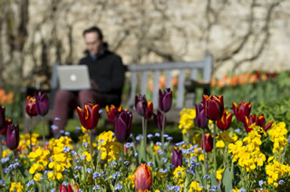 Copyright © Oxford University Images / Rob Judges Photography -- All rights reserved. 
