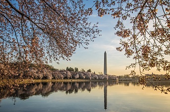 Washington DC